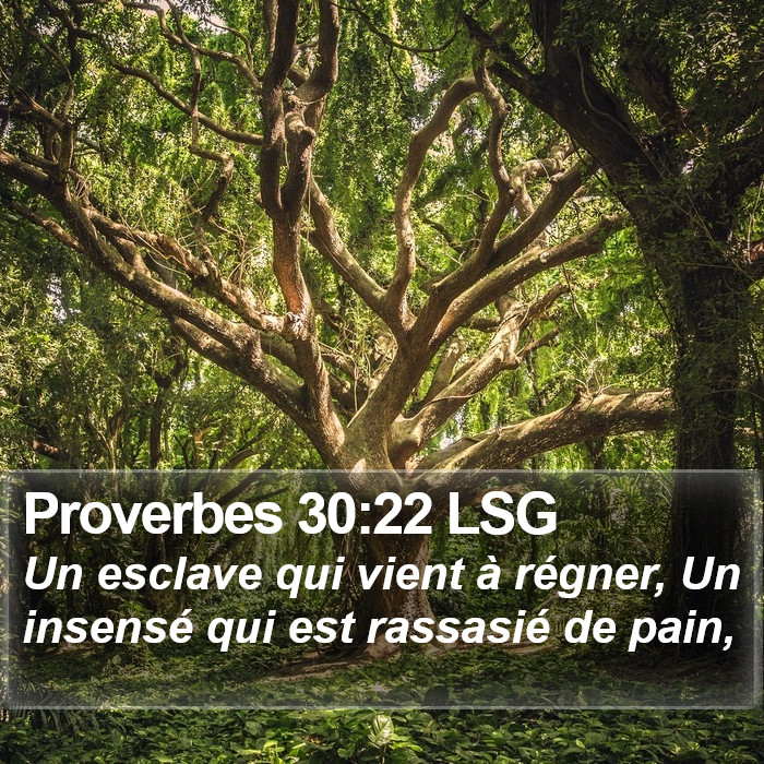 Proverbes 30:22 LSG Bible Study