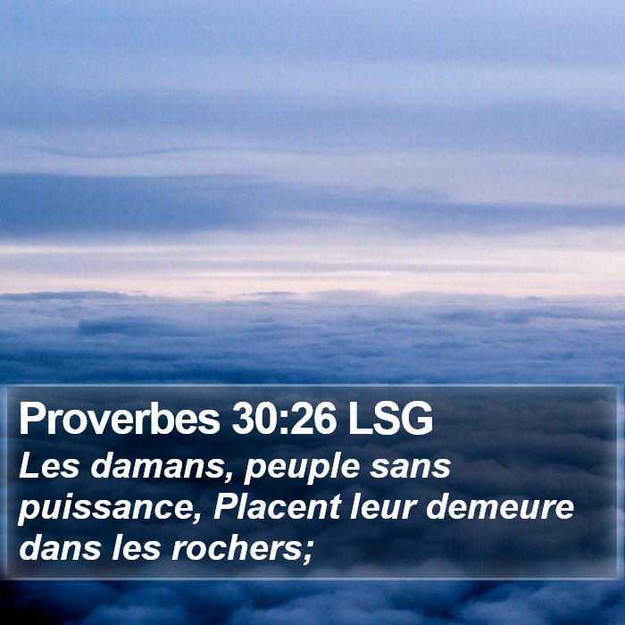 Proverbes 30:26 LSG Bible Study