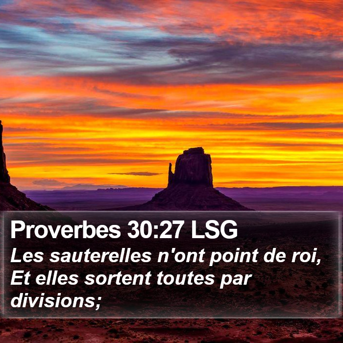 Proverbes 30:27 LSG Bible Study
