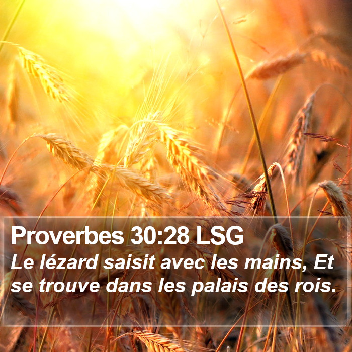 Proverbes 30:28 LSG Bible Study