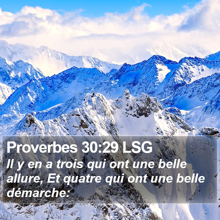 Proverbes 30:29 LSG Bible Study