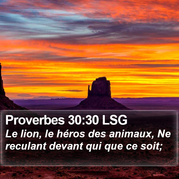 Proverbes 30:30 LSG Bible Study