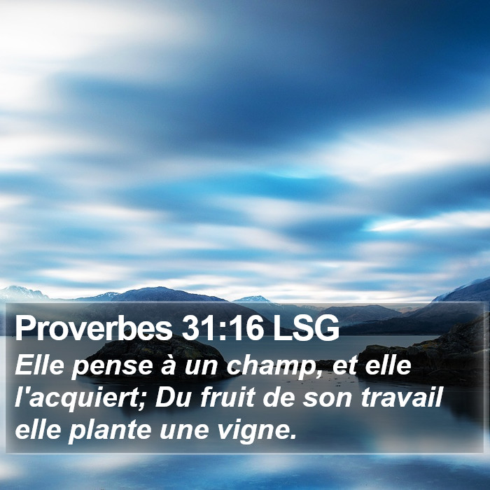 Proverbes 31:16 LSG Bible Study