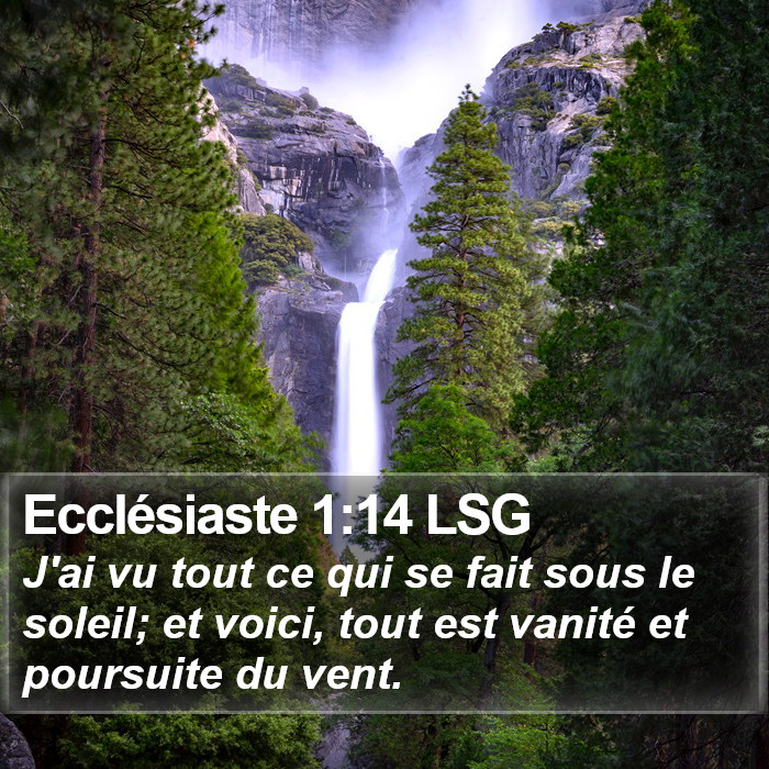 Ecclésiaste 1:14 LSG Bible Study