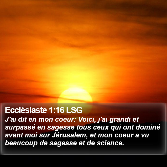 Ecclésiaste 1:16 LSG Bible Study