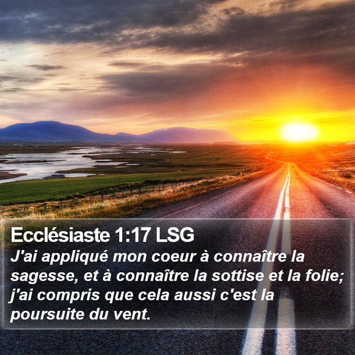 Ecclésiaste 1:17 LSG Bible Study