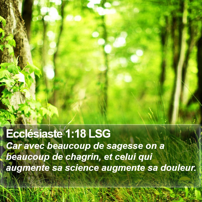 Ecclésiaste 1:18 LSG Bible Study