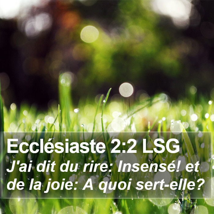 Ecclésiaste 2:2 LSG Bible Study