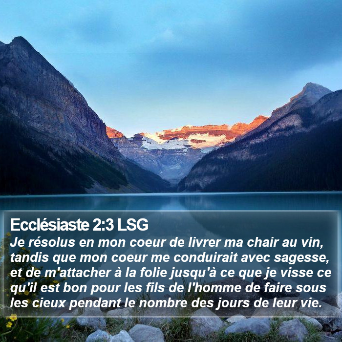 Ecclésiaste 2:3 LSG Bible Study