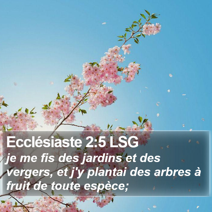 Ecclésiaste 2:5 LSG Bible Study