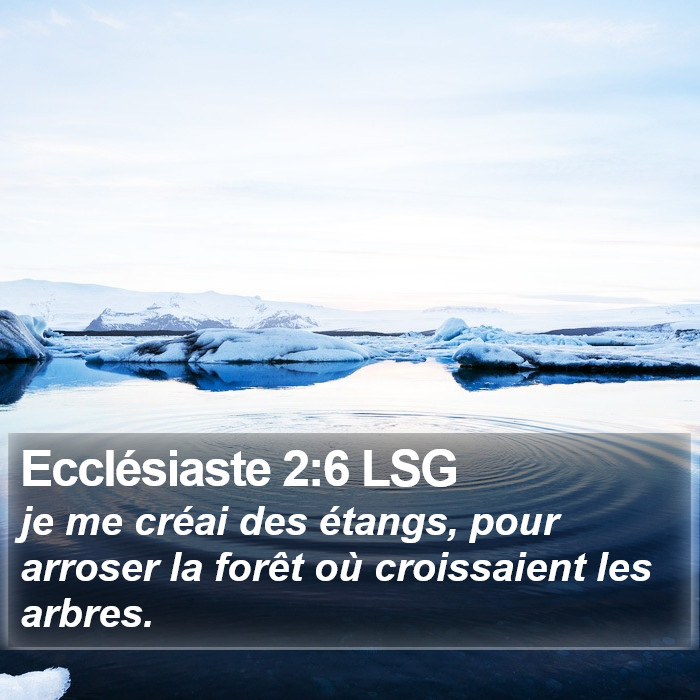 Ecclésiaste 2:6 LSG Bible Study