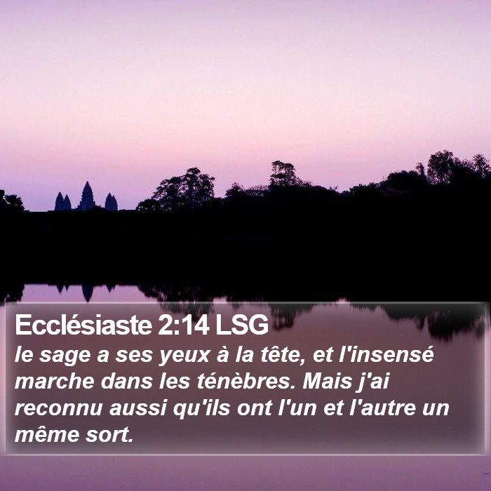 Ecclésiaste 2:14 LSG Bible Study