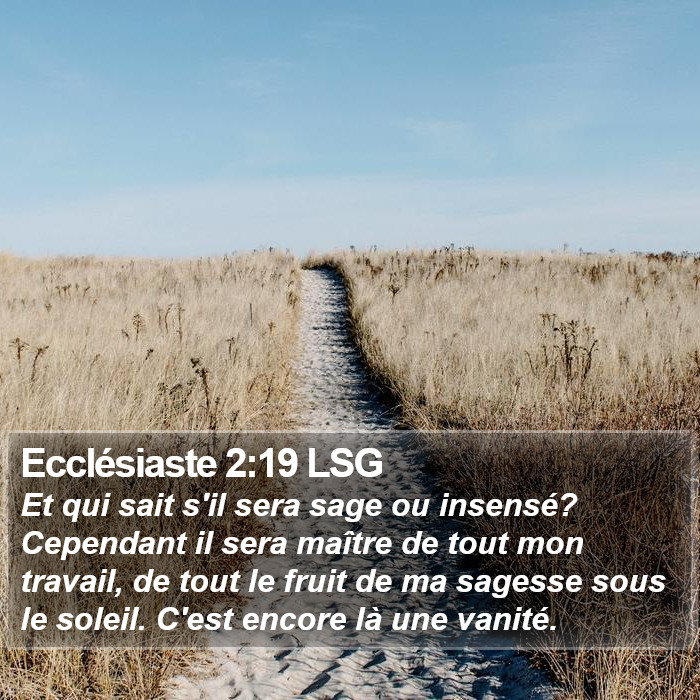 Ecclésiaste 2:19 LSG Bible Study