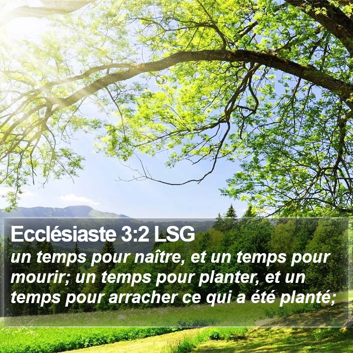 Ecclésiaste 3:2 LSG Bible Study