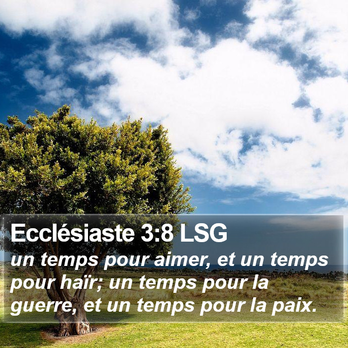 Ecclésiaste 3:8 LSG Bible Study