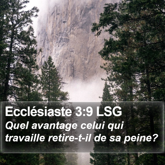 Ecclésiaste 3:9 LSG Bible Study