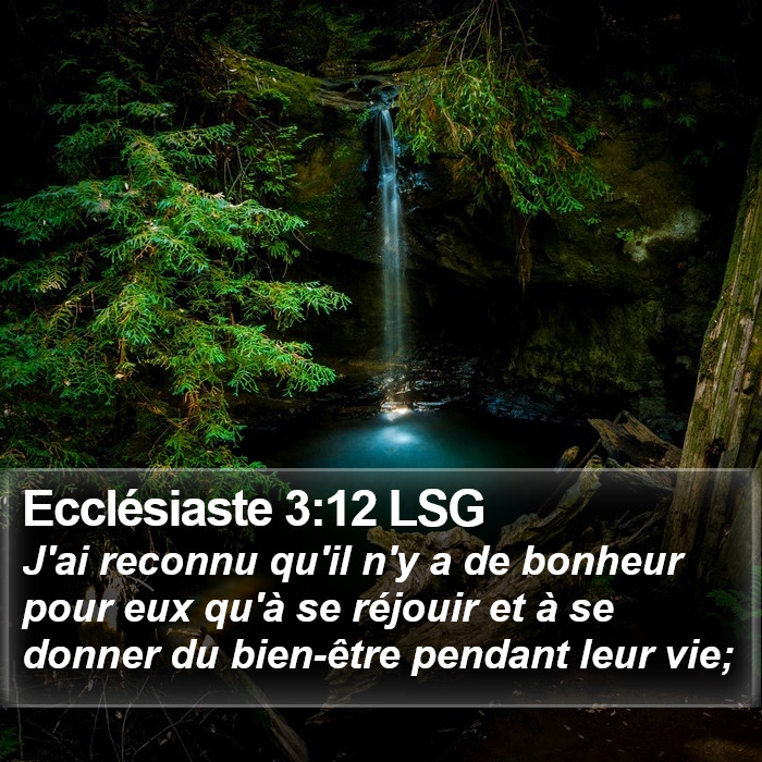 Ecclésiaste 3:12 LSG Bible Study
