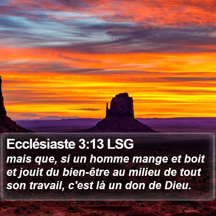 Ecclésiaste 3:13 LSG Bible Study