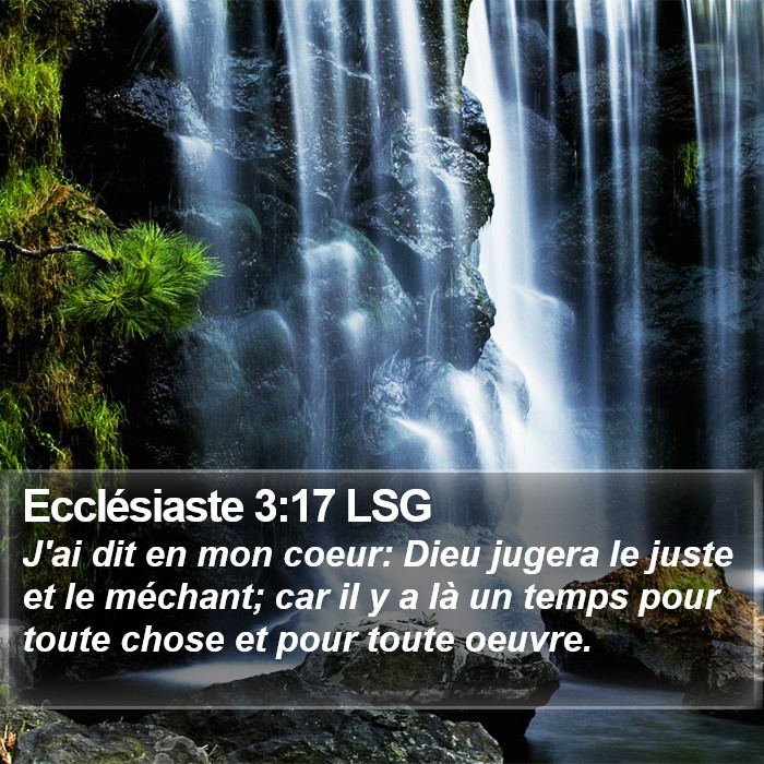 Ecclésiaste 3:17 LSG Bible Study