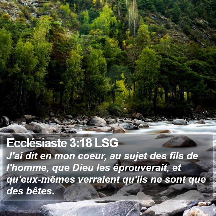 Ecclésiaste 3:18 LSG Bible Study