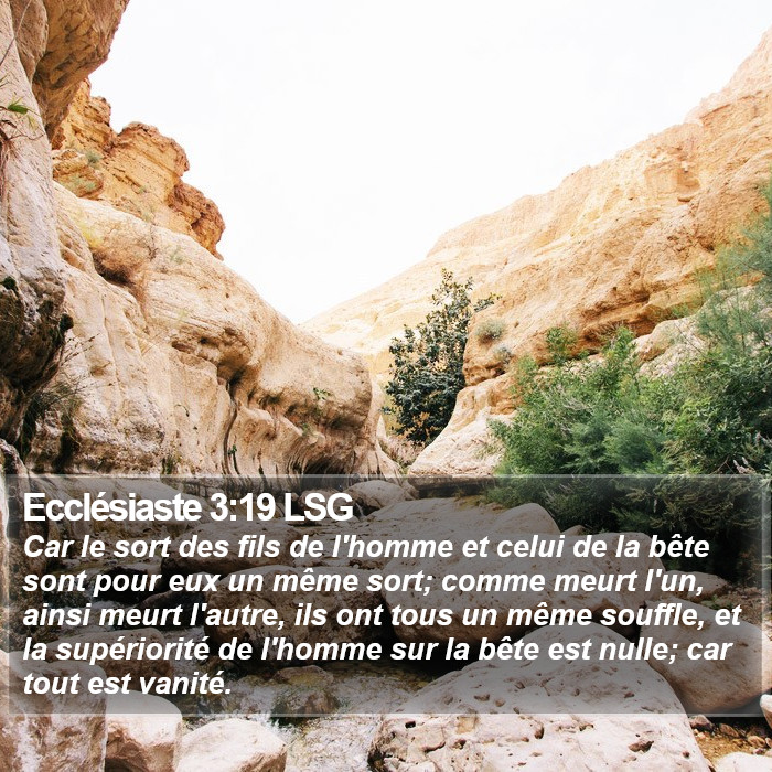 Ecclésiaste 3:19 LSG Bible Study
