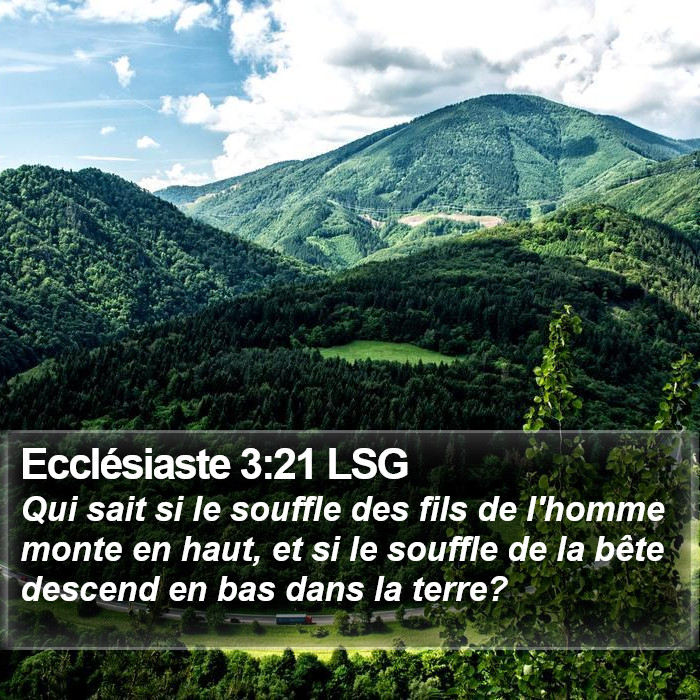 Ecclésiaste 3:21 LSG Bible Study
