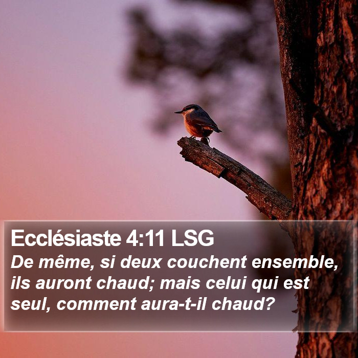 Ecclésiaste 4:11 LSG Bible Study