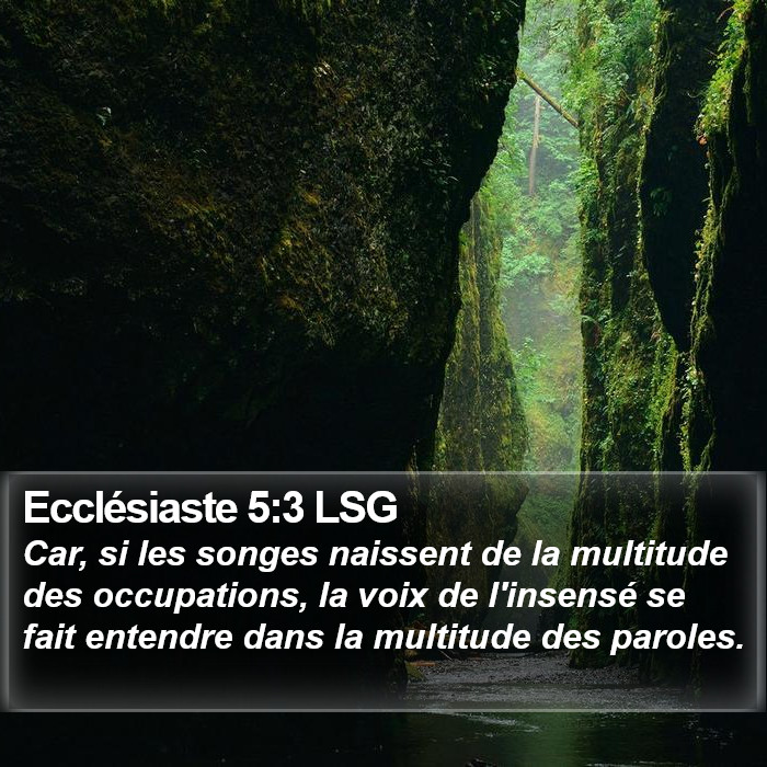 Ecclésiaste 5:3 LSG Bible Study