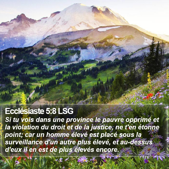 Ecclésiaste 5:8 LSG Bible Study