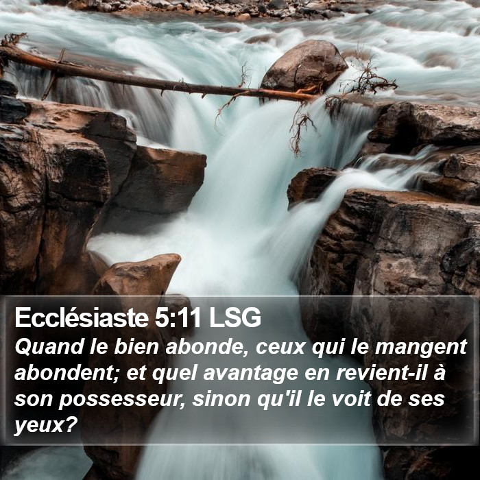 Ecclésiaste 5:11 LSG Bible Study