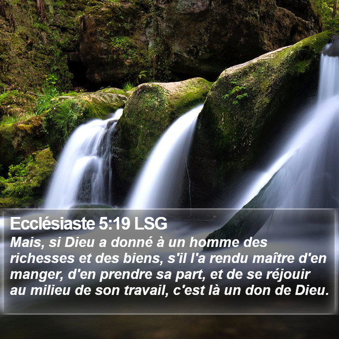 Ecclésiaste 5:19 LSG Bible Study