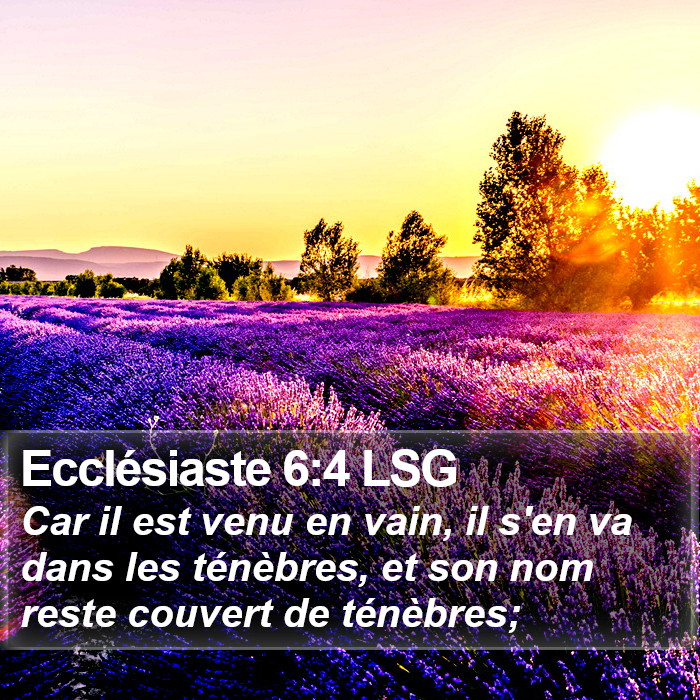 Ecclésiaste 6:4 LSG Bible Study