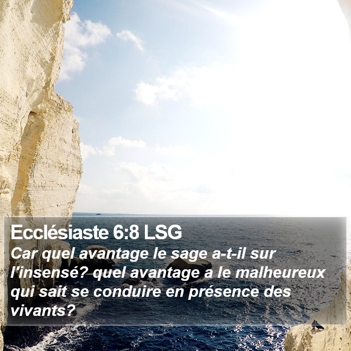 Ecclésiaste 6:8 LSG Bible Study