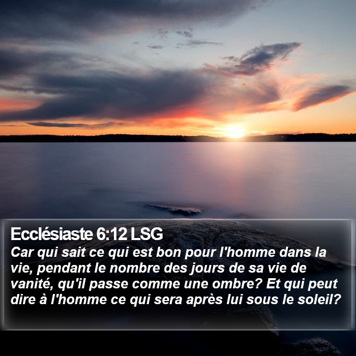 Ecclésiaste 6:12 LSG Bible Study