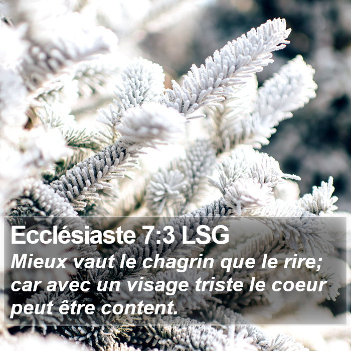Ecclésiaste 7:3 LSG Bible Study