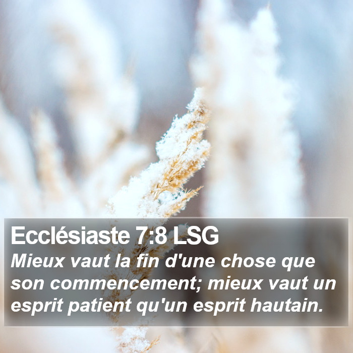 Ecclésiaste 7:8 LSG Bible Study