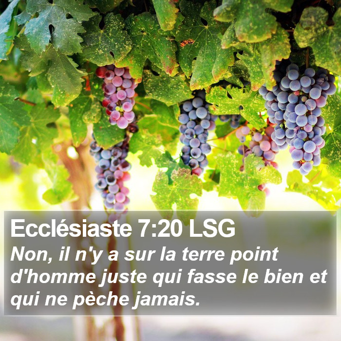 Ecclésiaste 7:20 LSG Bible Study