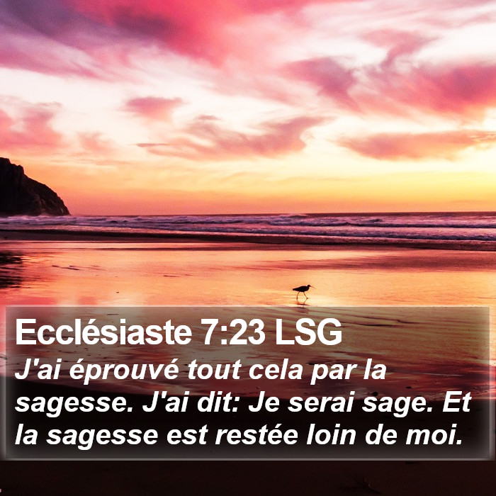 Ecclésiaste 7:23 LSG Bible Study
