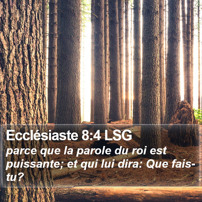 Ecclésiaste 8:4 LSG Bible Study
