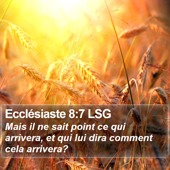 Ecclésiaste 8:7 LSG Bible Study