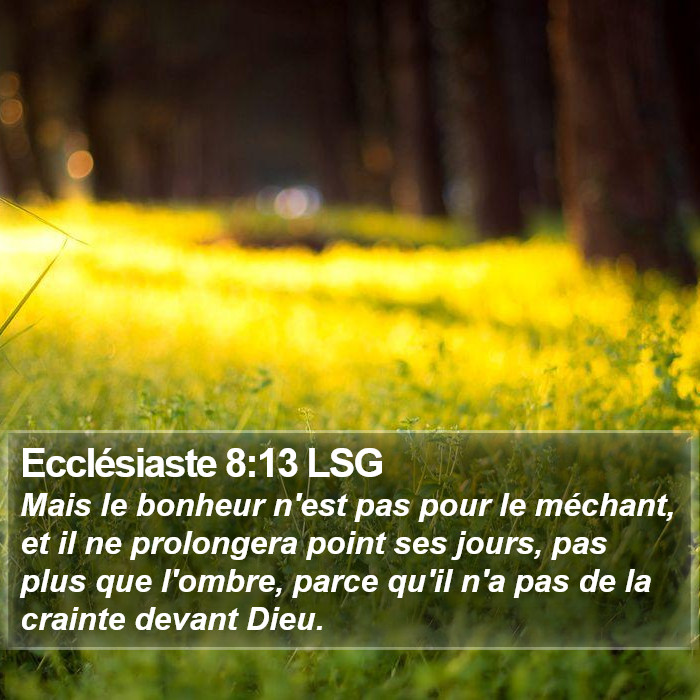 Ecclésiaste 8:13 LSG Bible Study