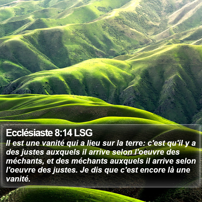 Ecclésiaste 8:14 LSG Bible Study