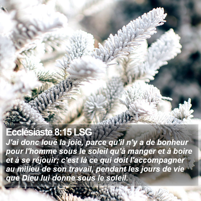 Ecclésiaste 8:15 LSG Bible Study