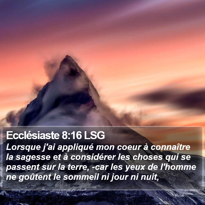 Ecclésiaste 8:16 LSG Bible Study