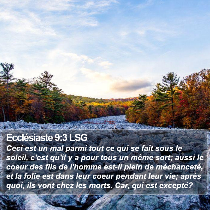 Ecclésiaste 9:3 LSG Bible Study