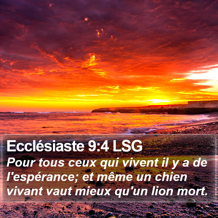 Ecclésiaste 9:4 LSG Bible Study