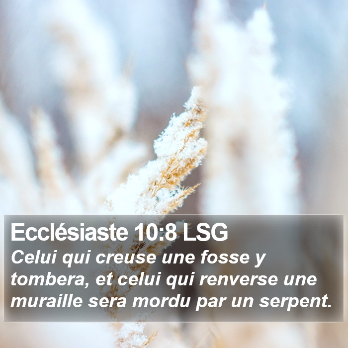 Ecclésiaste 10:8 LSG Bible Study