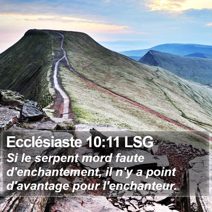 Ecclésiaste 10:11 LSG Bible Study