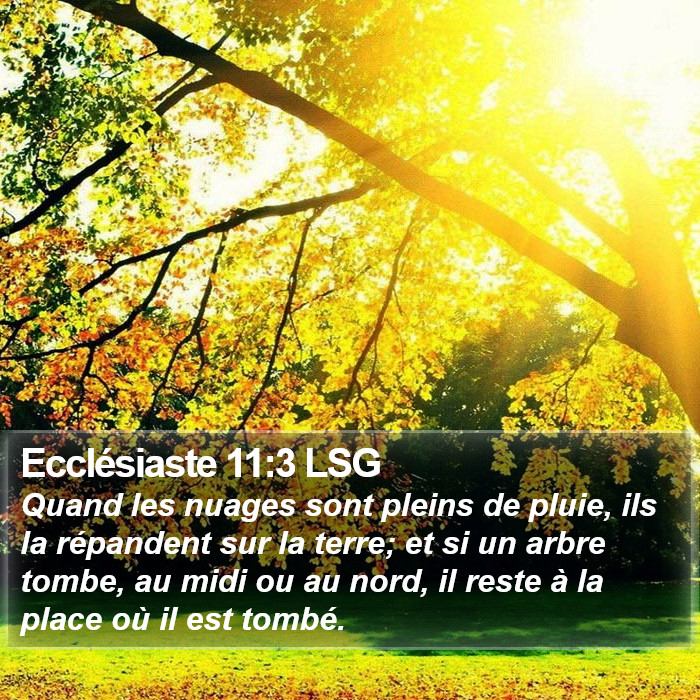 Ecclésiaste 11:3 LSG Bible Study