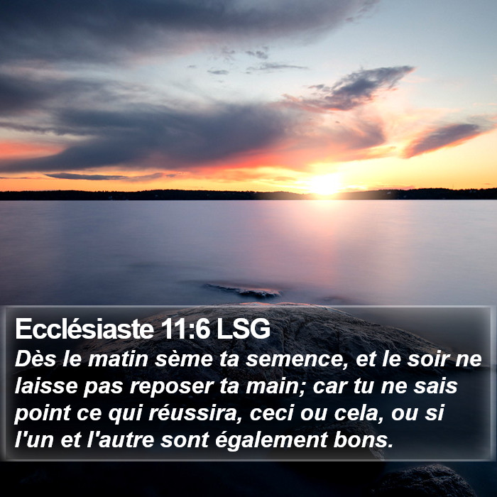 Ecclésiaste 11:6 LSG Bible Study